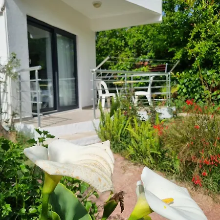Sunset Boutique & 3*
