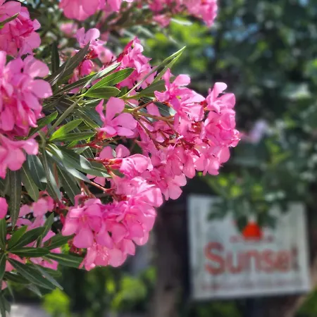 Sunset Boutique & Guest house Cirali