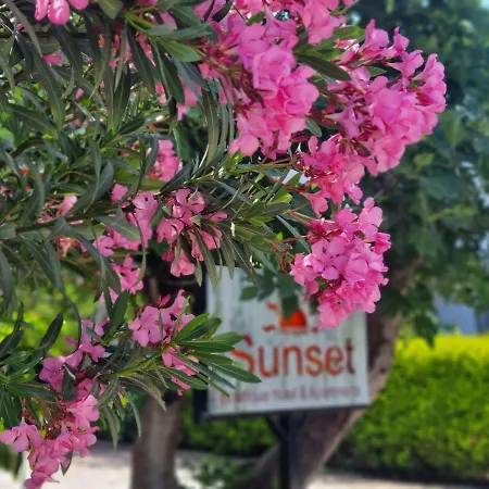 Guest house Sunset Boutique & 3*