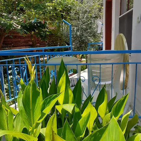 Sunset Boutique & Guest house